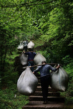 Load image into Gallery viewer, 2025 Tongxinshe Teahouse Tribute Da Hong Pao &quot;Anxiang (Hidden Fragrance)&quot; Makes a Grand Debut

