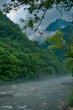 Load image into Gallery viewer, Tongxin She Launches 2026 Tongmuguan Fei Zi Xiao Black Tea from Wuyi Mountain, Fujian
