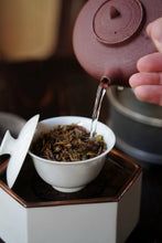 Load image into Gallery viewer, Tongxin She Teahouse 2025 Limited Launch | Handmade Bai Jiguan by Gao Peng and His Mother, A Cup Holds the Elegance of Wuyi白鸡冠。
