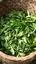 Load image into Gallery viewer, Tongxinshe Teahouse 2025 New Launch | &quot;Peach Delight&quot; Da Hong Pao - Limited Free Tasting Available桃喜大红袍
