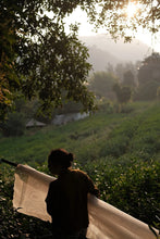 Load image into Gallery viewer, Autumn Limited · Tea Meets Osmanthus | Tongxin She 2025 Tongmu Osmanthus Black Tea &quot;Guiren Duo Wangshi&quot;, Presented in a Limited 2.5kg Batch 桂人多旺事。
