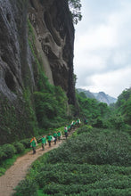 Load image into Gallery viewer, Tongxin She Teahouse 2025 Wuyi Rock Tea Mantuo Peak Huangjingui Tasting 黄金桂
