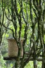 Load image into Gallery viewer, Tongxin She Teahouse · 2026 Yelaixiang Phoenix Dancong from Potou, Daping/夜来香单丛
