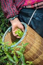 Load image into Gallery viewer, Tongxin Tea House March Trip to Yixing | Tasting the First-Pick Yangxian Xueya,The Spring Freshness Hidden in the Capital of Zisha
