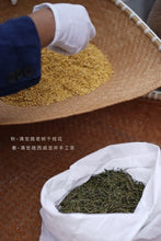 Load image into Gallery viewer, 2026 Premium Sweet Osmanthus Longjing · One Tea Embodies Spring and Autumn, Scent Crafted to Perfection特级桂花龙井
