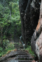 Load image into Gallery viewer, Time-Aged Rhythm of Ancient Groves – Tongxin She&#39;s 2018 Huiyuan Keng Luxiu Old Arbor Shui Xian
