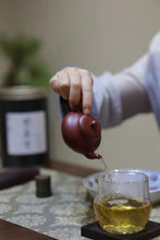 Load image into Gallery viewer, Guang Dong Oolong tea“Phoenix Dancong, grapefruit fragrance”柚花香
