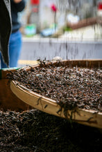 Load image into Gallery viewer, Tongxin She Teahouse Launches New Wuyi Tongmuguan "Peach-Flavored Black Tea"蜜桃红茶
