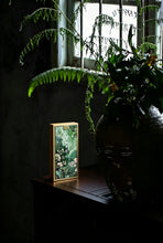 Load image into Gallery viewer, Zhang Tang Jian Qi Zhong Clouds Rest on Emerald Shades — The Cool Elegance of Huiyuan Valley Rock Tea Limited Release: 2025 Authentic Wuyi Heirloom Tea from Tong Xin She Tea House 章堂涧奇种 · 雲栖翠影
