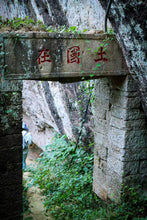 Load image into Gallery viewer, Concentric House Teahouse's Quest for Wuyi Rare Cultivar: Zui Gui Ji
