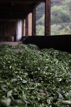Load image into Gallery viewer, Smoke Penetrates the Leaf, Longan Sweetness Lingers Tongxin She’s 2023 Tongmuguan Smoked Lapsang Souchong Four Years of Aging, Returning to the Origin of Black Tea烟熏小种/YAn XUN XIAO ZHONG
