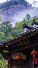 Load image into Gallery viewer, Zhang Tang Jian Qi Zhong Clouds Rest on Emerald Shades — The Cool Elegance of Huiyuan Valley Rock Tea Limited Release: 2025 Authentic Wuyi Heirloom Tea from Tong Xin She Tea House 章堂涧奇种 · 雲栖翠影

