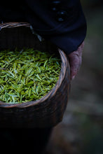 Load image into Gallery viewer, Tongxin Tea House March Trip to Yixing | Tasting the First-Pick Yangxian Xueya,The Spring Freshness Hidden in the Capital of Zisha
