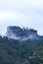 Load image into Gallery viewer, Tongxin She Teahouse | Moss Traces &amp; Spring Dew · Tianxin Rock Shi Ru/天心岩石乳。
