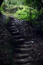 Load image into Gallery viewer, Tongxin She Teahouse | Moss Traces &amp; Spring Dew · Tianxin Rock Shi Ru/天心岩石乳。
