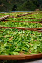 Load image into Gallery viewer, Tongxin She Teahouse New Launch | 300-Year-Old Ancient Tree Honey-Floral Oolong: Time Infused in Every Brew古树蜜花香
