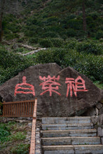Load image into Gallery viewer, 2026 Tongxin She Tea Journey to Huzhou, Zhejiang: Not All White Tea is Anji White Tea
