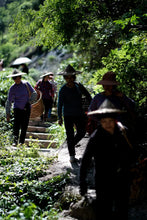 Load image into Gallery viewer, Rock Bones Hide Treasures, Craftsmanship Bears Signature – Tongxinshe Presents 2025 Intangible Cultural Heritage Grade Niulan Keng Qizhong (8.3g per Can) to Tea Lovers 牛栏坑奇种
