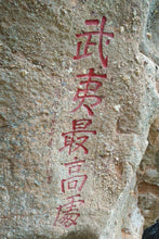 Load image into Gallery viewer, San Yang Feng Rou Gui | Award-Winning Wuyi Rock Tea from Tongxin She Teahouse /三仰峰肉桂
