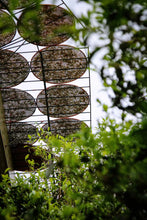 Load image into Gallery viewer, Tongxin She Teahouse | 2026 Da’an Old‑Bamboo Cong: Serenity of Bamboo, Return to Mountain Spirit大庵老丛竹叶
