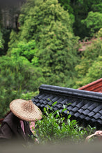 Load image into Gallery viewer, 2025 Tongxinshe Teahouse Tribute Da Hong Pao &quot;Anxiang (Hidden Fragrance)&quot; Makes a Grand Debut
