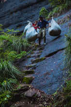 Load image into Gallery viewer, Tongxinshe Teahouse Limited Release | Explore the Century-Old Charm of Wuyi Rock Tea &quot;White Peony&quot; from Matouyan Shuidongkou
