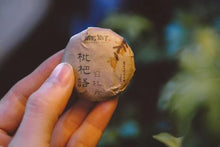 Load image into Gallery viewer, New at Tongxin She Tea House｜2016 Fuding Button White Tea Loquat Whisper · White Peony: Portable Honey Aroma, Elegance On the Go
