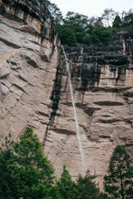 Load image into Gallery viewer, Rock Bone and Flower Fragrance Hidden in a Secret Realm: Tongxinshe Presents the Rare 2025 Wuyi Rock Tea &quot;Yujing Liuxiang&quot;玉井流香 to Tea Lovers

