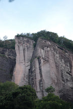 Load image into Gallery viewer, Tongxin She Teahouse | Moss Traces &amp; Spring Dew · Tianxin Rock Shi Ru/天心岩石乳。
