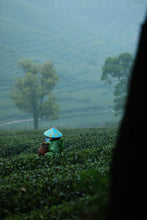 Load image into Gallery viewer, 2026 Premium Sweet Osmanthus Longjing · One Tea Embodies Spring and Autumn, Scent Crafted to Perfection特级桂花龙井
