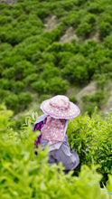 Load image into Gallery viewer, Uncovering the Unique Allure of Wudong Fengxi Village Milanxiang Phoenix Dancong
