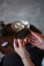 Load image into Gallery viewer, Zhang Tang Jian Qi Zhong Clouds Rest on Emerald Shades — The Cool Elegance of Huiyuan Valley Rock Tea Limited Release: 2025 Authentic Wuyi Heirloom Tea from Tong Xin She Tea House 章堂涧奇种 · 雲栖翠影
