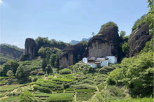 Load image into Gallery viewer, The Harmony of Tea Aroma and the Charm of Tea Ware: The Beauty of the Wuyi Mountain Ink-colored Porcelain Gaiwan with the Image of Matouyan
