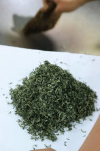 Load image into Gallery viewer, Tongxin She Teahouse: In Search of the Lost Supreme Biluochun
