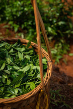 Load image into Gallery viewer, Rock Bone and Hidden Fragrance, Auspiciousness at Year-End | Tongxinshe Teahouse's 2025 Finale: Limited-Edition Kengjian Cassia Tea "Wanshi Ruyi" (All Wishes Come True), A Masterpiece by Intangible Cultural Heritage Inheritor 万狮如意。
