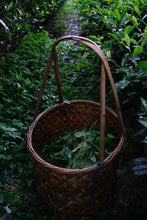 Load image into Gallery viewer, Time-Aged Rhythm of Ancient Groves – Tongxin She&#39;s 2018 Huiyuan Keng Luxiu Old Arbor Shui Xian
