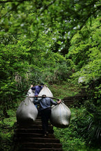 Load image into Gallery viewer, 2025 Tongxinshe Teahouse Tribute Da Hong Pao &quot;Anxiang (Hidden Fragrance)&quot; Makes a Grand Debut
