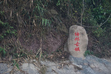 Load image into Gallery viewer, Yi Bang PuerSheng Tea Ancient Tree Cat&#39;s Ear/猫耳朵古树普洱生茶.
