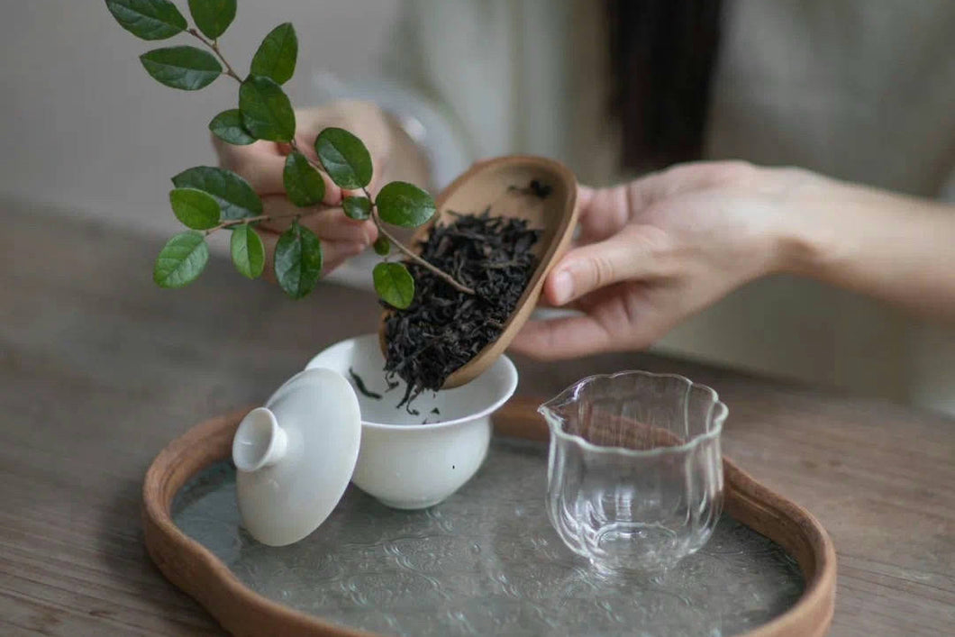 Tongxin She 2021 Jin Jiao Yi Shui Xian: A Rare Tea with the Charm of Time