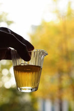 Load image into Gallery viewer, 2025 Tongxin She Teahouse: Phoenix Dancong &quot;Xuepian Yashi Xiang&quot; – The Stunning Culmination of Winter&#39;s Essence雪片鸭屎香
