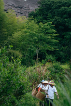 Load image into Gallery viewer, Tongxinshe Teahouse 2025: &quot;Liulanxiang&quot; – Rare Premium Wuyi Rock Tea from Core Cliff Terroir 留兰香
