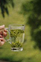 Load image into Gallery viewer, 2026 Tongxin She Tea Journey to Huzhou, Zhejiang: Not All White Tea is Anji White Tea
