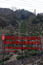 Load image into Gallery viewer, 2026 Tongxin She Tea Journey to Huzhou, Zhejiang: Not All White Tea is Anji White Tea
