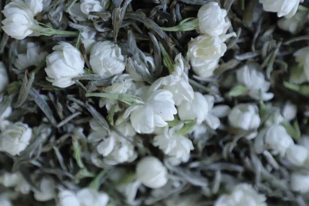 2024 Fuzhou jasmine tea/premium silver needle 