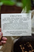 Load image into Gallery viewer, A 1998 China Tea Spring Tip: Savoring 27 Years of Aged Fragrance at Tongxinshe Teahouse珍藏品
