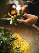 Load image into Gallery viewer, Autumn limited edition &quot;Special Osmanthus Longjing Tea&quot;
