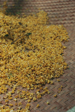 Load image into Gallery viewer, 2026 Premium Sweet Osmanthus Longjing · One Tea Embodies Spring and Autumn, Scent Crafted to Perfection特级桂花龙井
