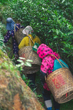 Load image into Gallery viewer, Tongxinshe’s Three-Year Waiting: For a Mellow and Perfect Brew of Maoershi Da Hong Pao
