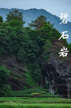 Load image into Gallery viewer, 2020 Chen Cha “Bị Shi Yan Da Hong Pao”陈茶“碧石岩大红袍”高火茶
