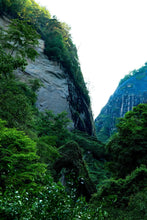 Load image into Gallery viewer, The Name of Da Hong Pao: A Taste of 2025 Pure Qidan from Tongxinshe Teahouse奇丹
